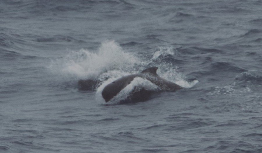 crossing the Drake Passage