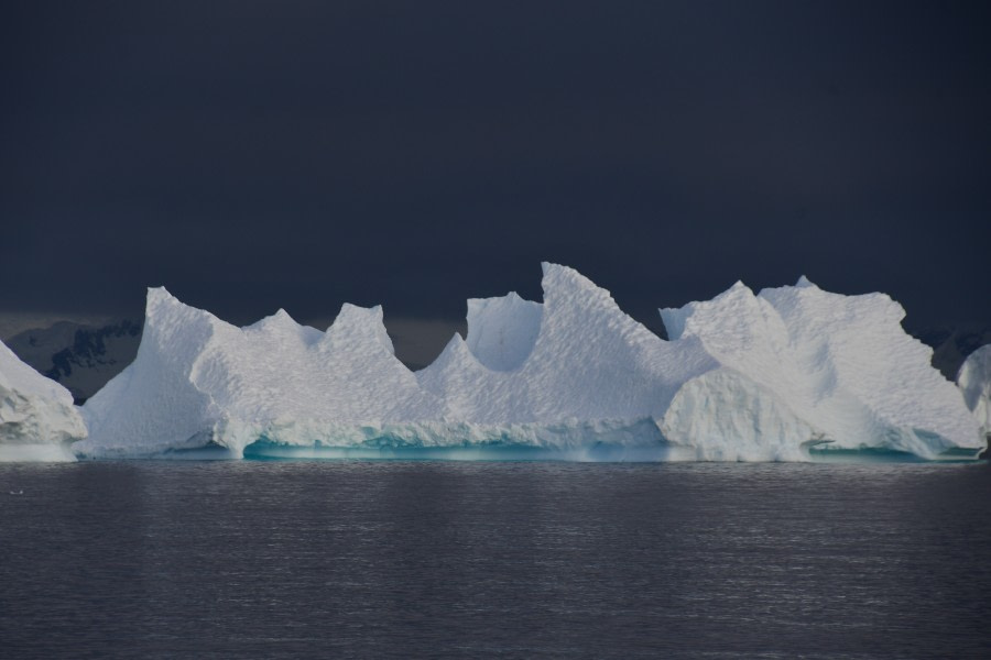 HDS28A23, Day 4, ANT_0373 © Saskia van der Meij - Oceanwide Expeditions.JPG