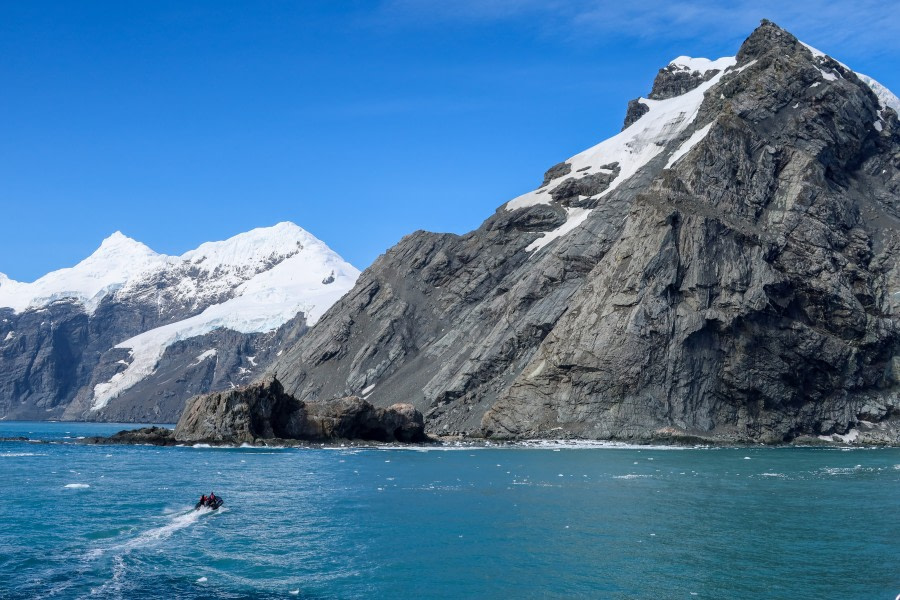 HDS28A23, Day 7, Elephant Island - Felicity J-5 © Felicity Johnson - Oceanwide Expeditions.jpg