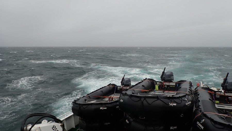 HDS28A23, Day 8, 01_At sea & iceberg 76a_Ursula © Ursula Tscherter - Oceanwide Expeditions.JPG