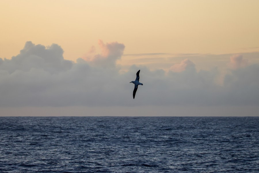 Crossing the Drake Passage