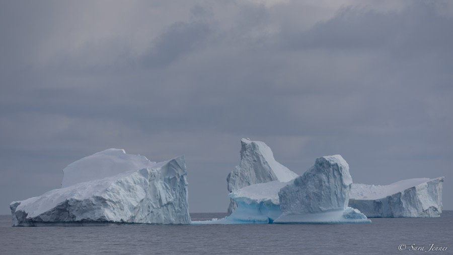 OTL27-23, Day 11, Iceberg 1 © Sara Jenner - Oceanwide Expeditions.jpg
