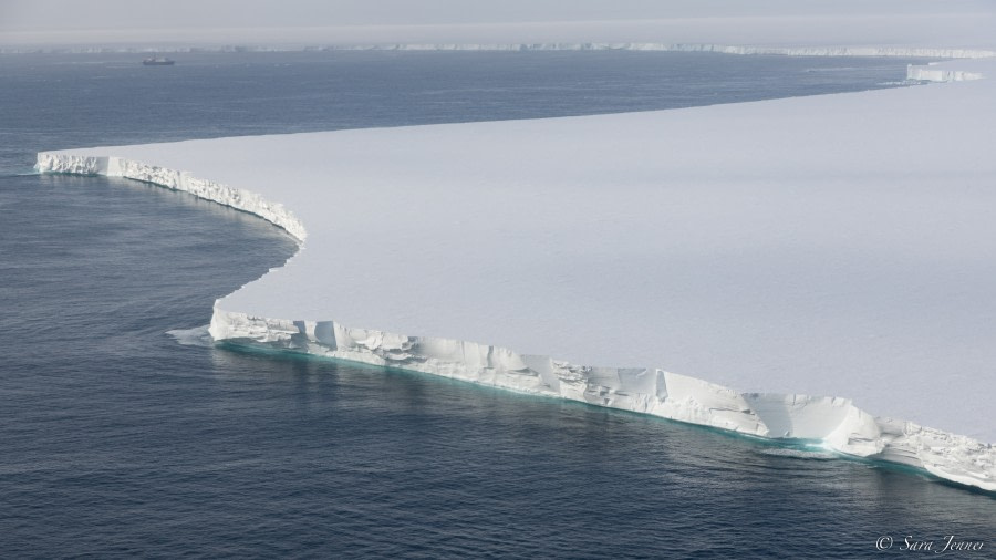 Off the Ross Ice Shelf