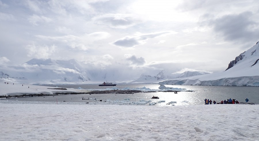 HDS30-23, Day 5, Damoy Point 1_Ursula © Ursula Tscherter - Oceanwide Expeditions.JPG