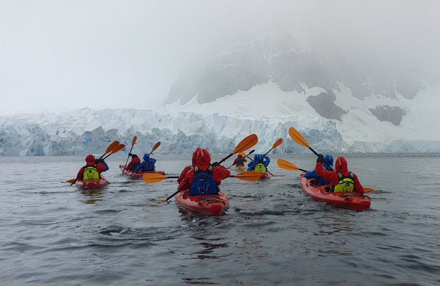 HDS30-23, Day 7, Kayaking, Paradise Bay © Unknown photographer - Oceanwide Expeditions.jpg