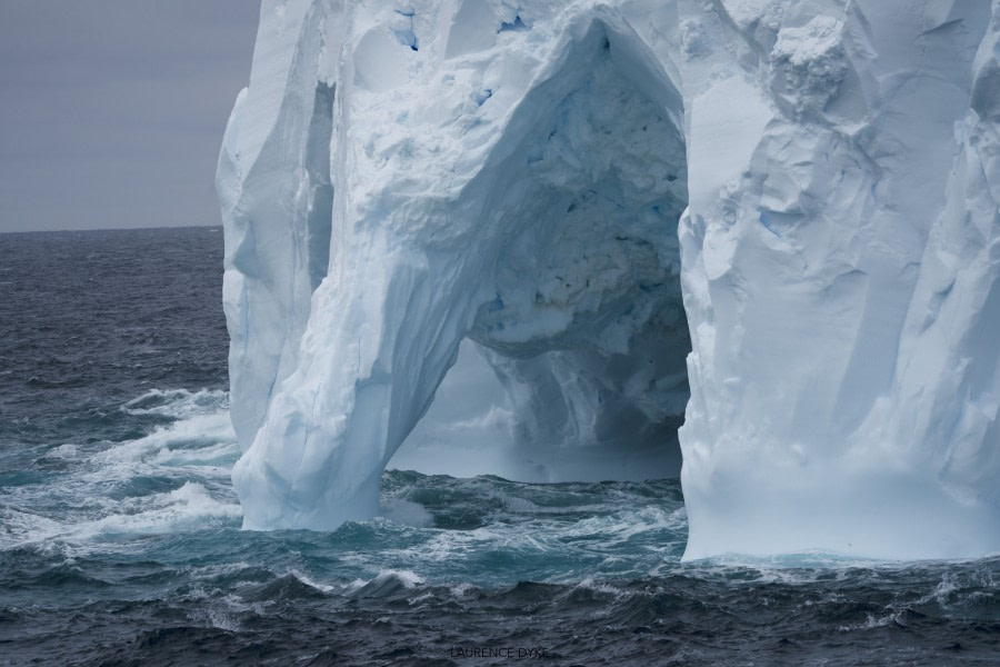 OTL28-23, Day 18, LD_00392_PSPS_WM © Laurence Dyke - Oceanwide Expeditions.jpg