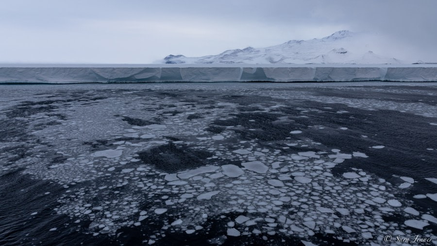 Cape Crozier, the Ross Ice Shelf, and the Ross Sea