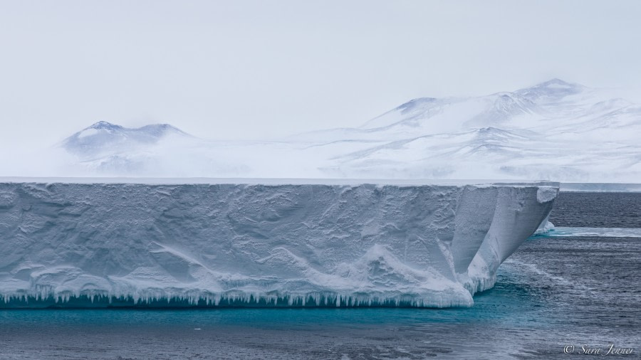 OTL28-23, Day 15, Ross Ice Shelf 1 © Sara Jenner - Oceanwide Expeditions.jpg