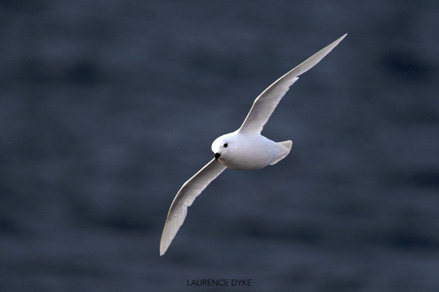 The Drake Passage