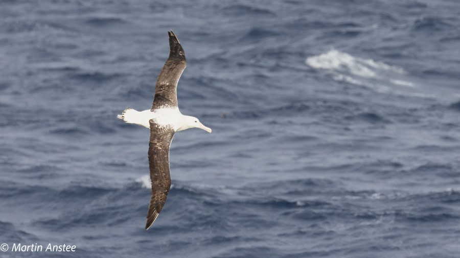 Crossing the Drake Passage