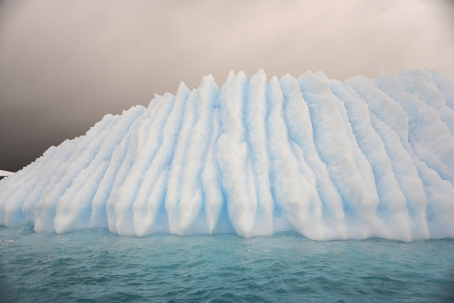 OTL29-23, Day 5, Gary trip log day5-Cuverville-fluted iceberg © Gary Miller - Oceanwide Expeditions.JPG