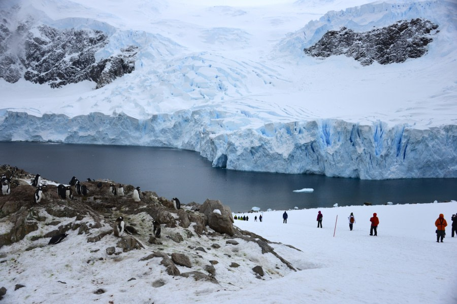 OTL29-23, Day 5, Gary trip log day5-Neko-returning to Landing © Gary Miller - Oceanwide Expeditions.JPG