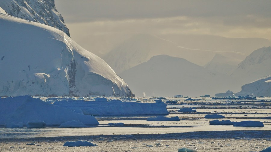 OTL29-23, Day 10, LemaireChannel © Unknown photographer - Oceanwide Expeditions.JPG