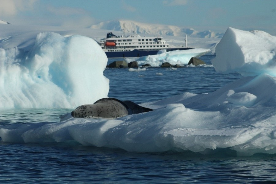 Diamond Island and Mikkelsen Harbour