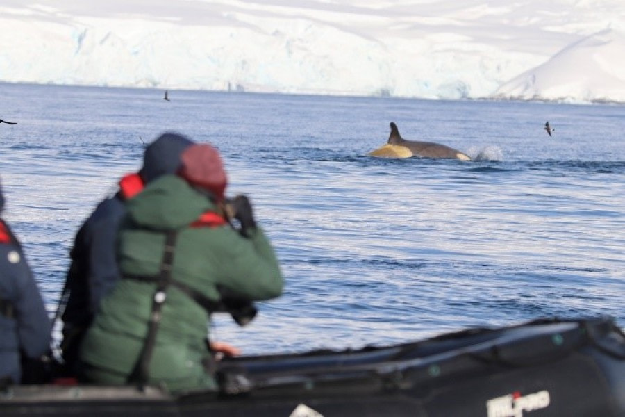 Sailing north – Fournier Bay