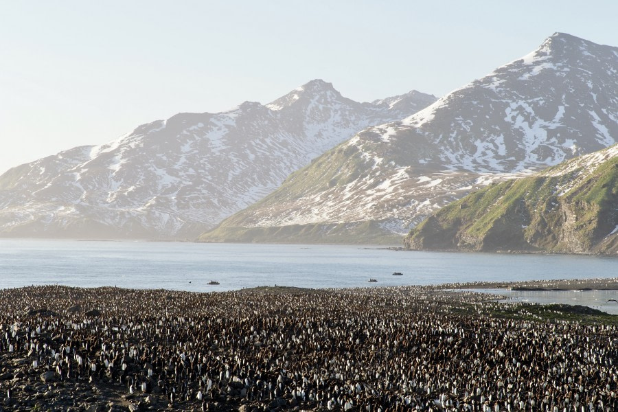 HDS34-23, Day 7, meikesjoer4 © Meike Sjoer - Oceanwide Expeditions.JPG