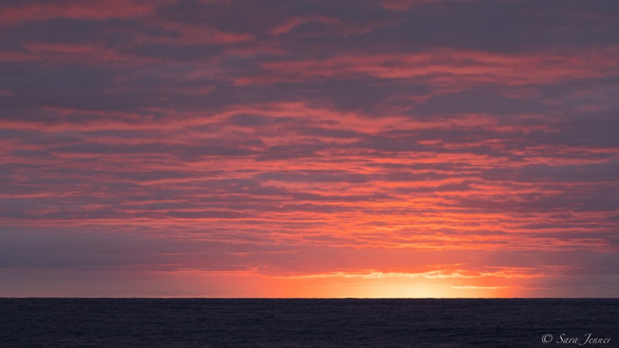 Passage to Gough Island