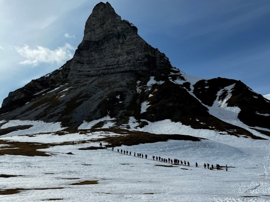 Tordenskjoldbukta and Alkhornet