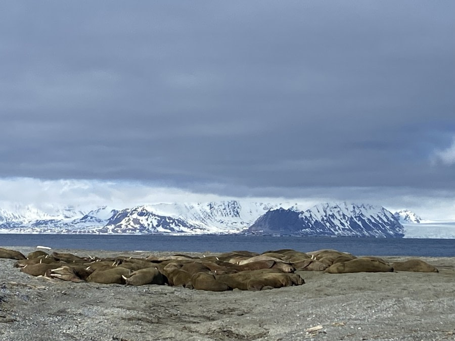 St Jonsfjord & Poolepynten