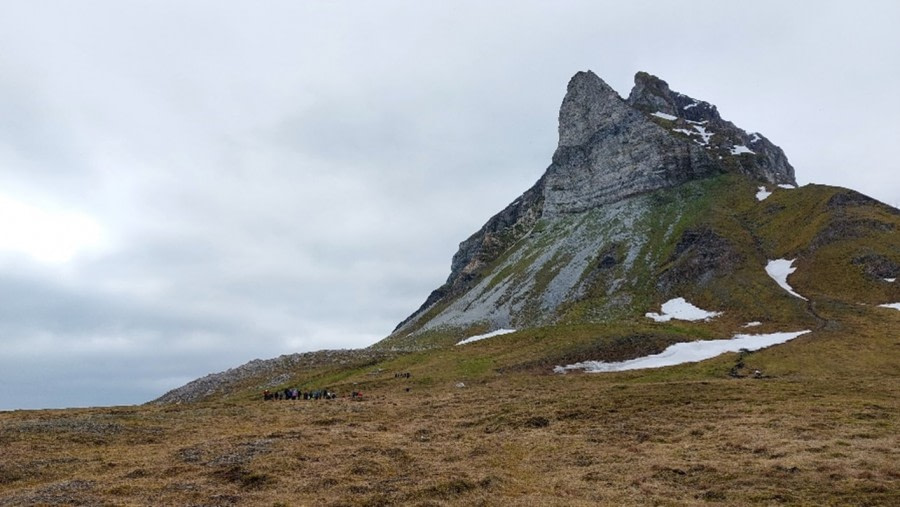 Ymerbukta and Alkhornet