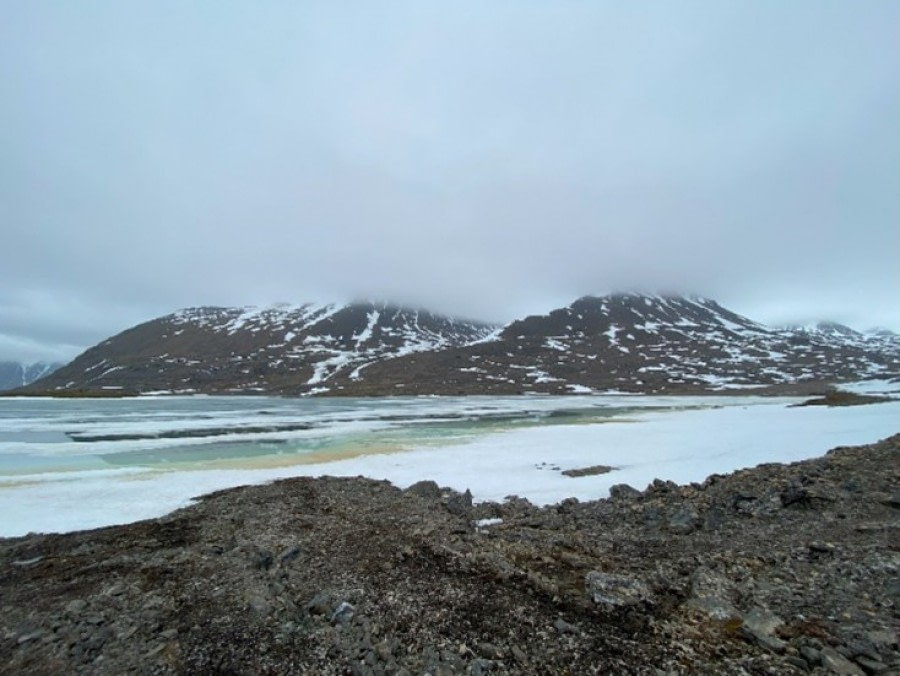 Signehamna, Lilliehookbreen and Tinayrebukta