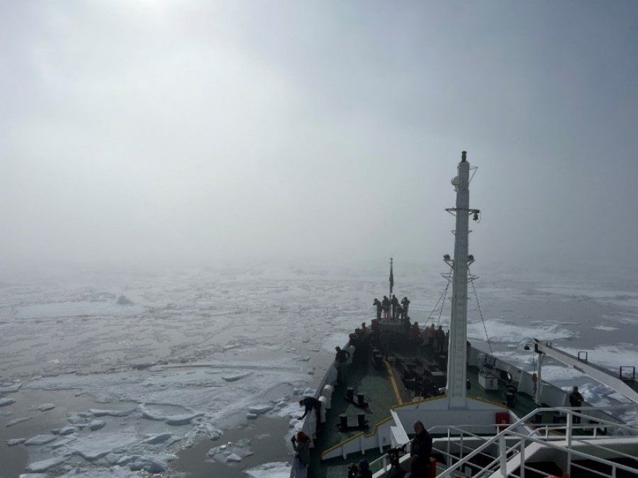 Liefdefjorden and Bockfjord, the day of fog