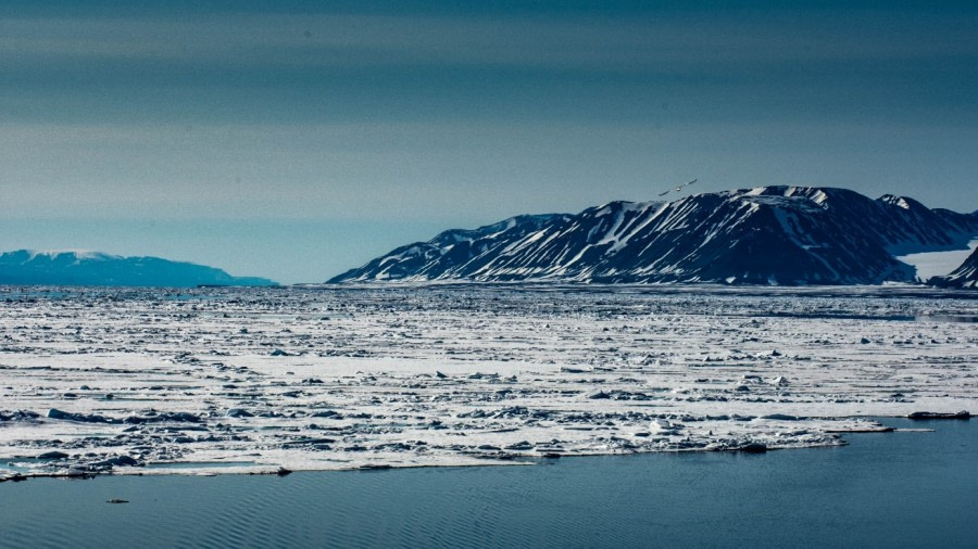 PLA06-23, Day 5, Ice © Unknown photographer - Oceanwide Expeditions.jpg