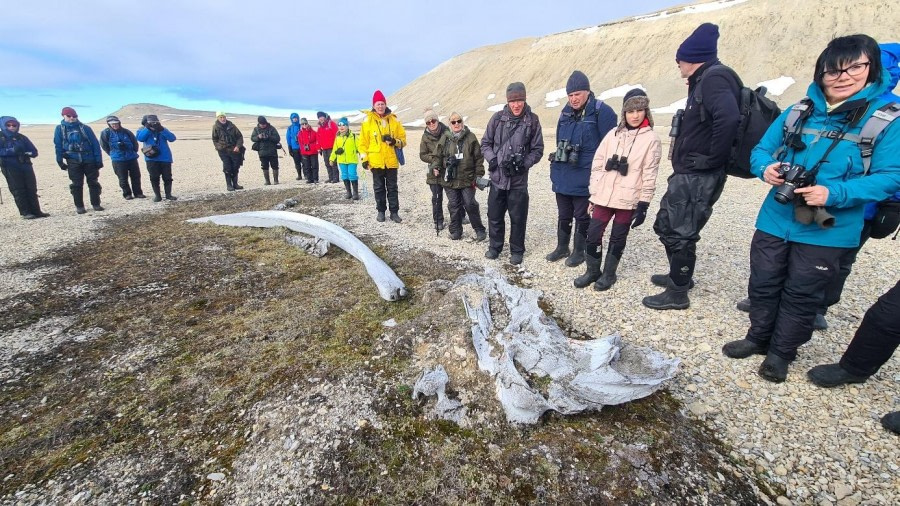 PLA07-23, Day 6, Whale bones © Unknown photographer - Oceanwide Expeditions.jpg