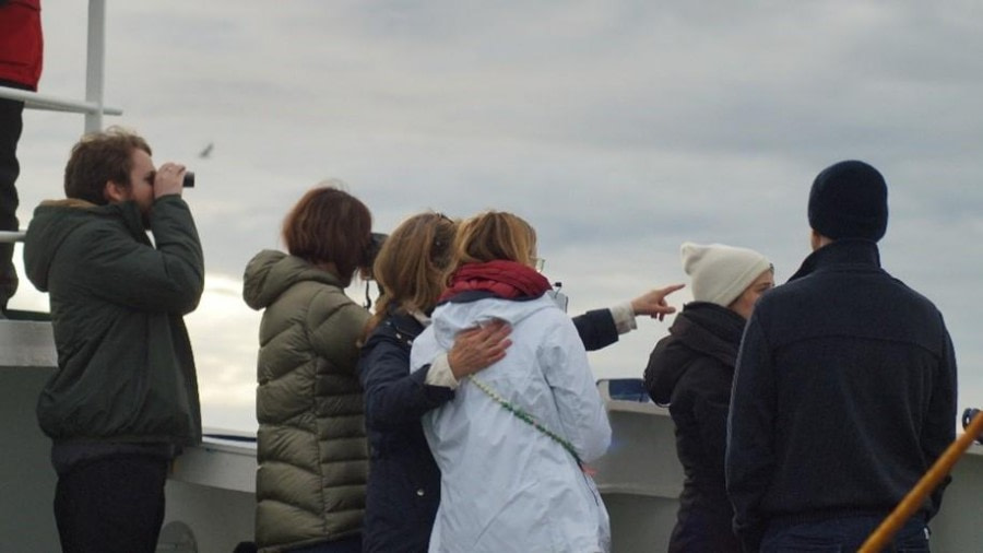 PLA08-23, Day 4, Birds watching © Unknown photographer - Oceanwide Expeditions.jpg