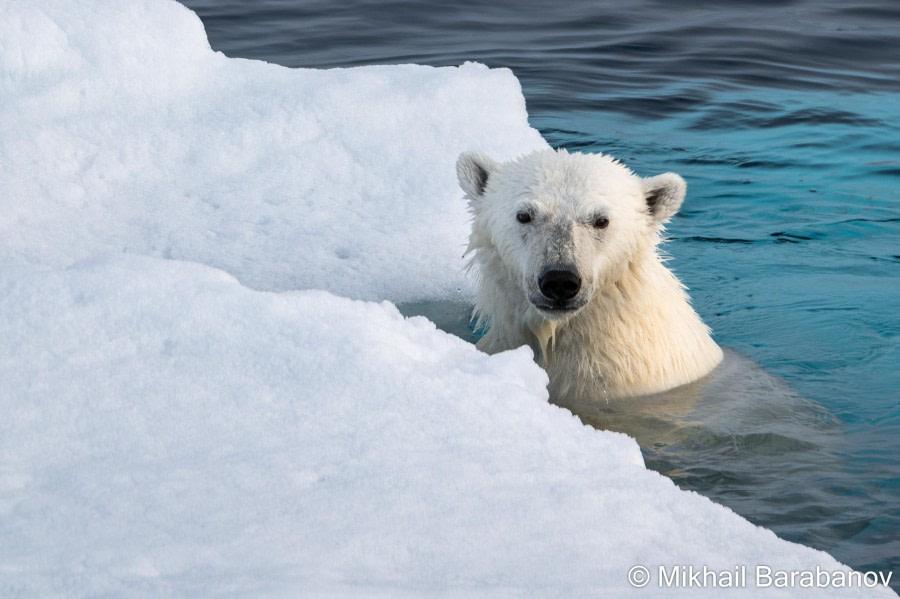 HDS09-23, Day 5, 02541-2 © Mikhail Barabanov - Oceanwide Expeditions.jpg