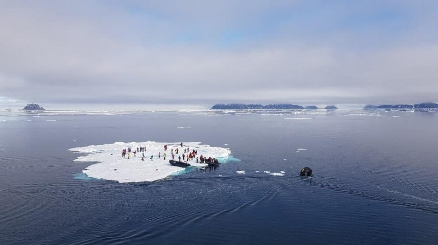 Pack Ice and Ice Landing