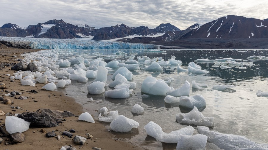 HDS10x23, Day 2, Julibukta © Sara Jenner - Oceanwide Expeditions.jpg