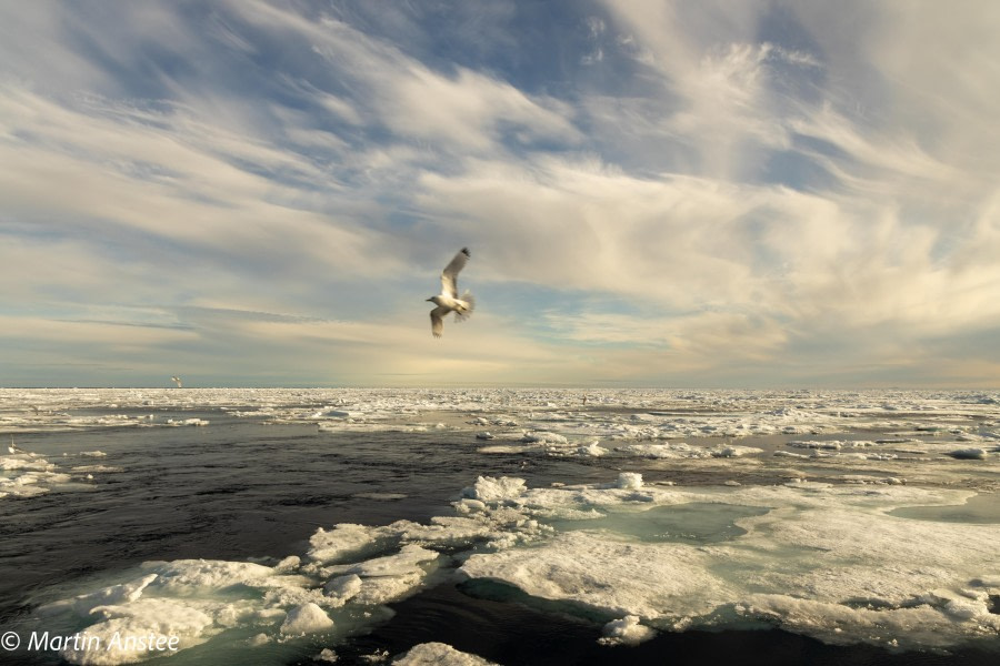 HDS11X23, Day 4, icescape 2 © Martin Anstee - Oceanwide Expeditions.jpg