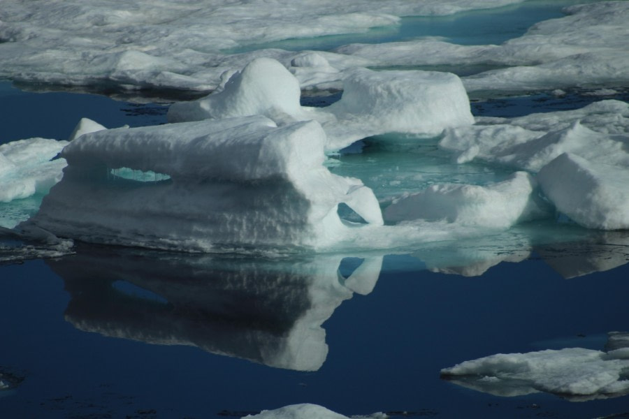 PLA11-23, Day 4, Glacier © Unknown photographer - Oceanwide Expeditions.JPG