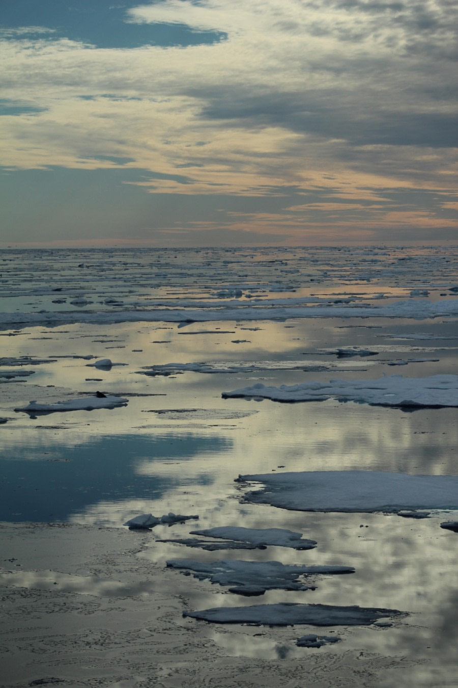 PLA11-23, Day 4, Ice on water 2 © Unknown photographer - Oceanwide Expeditions.JPG