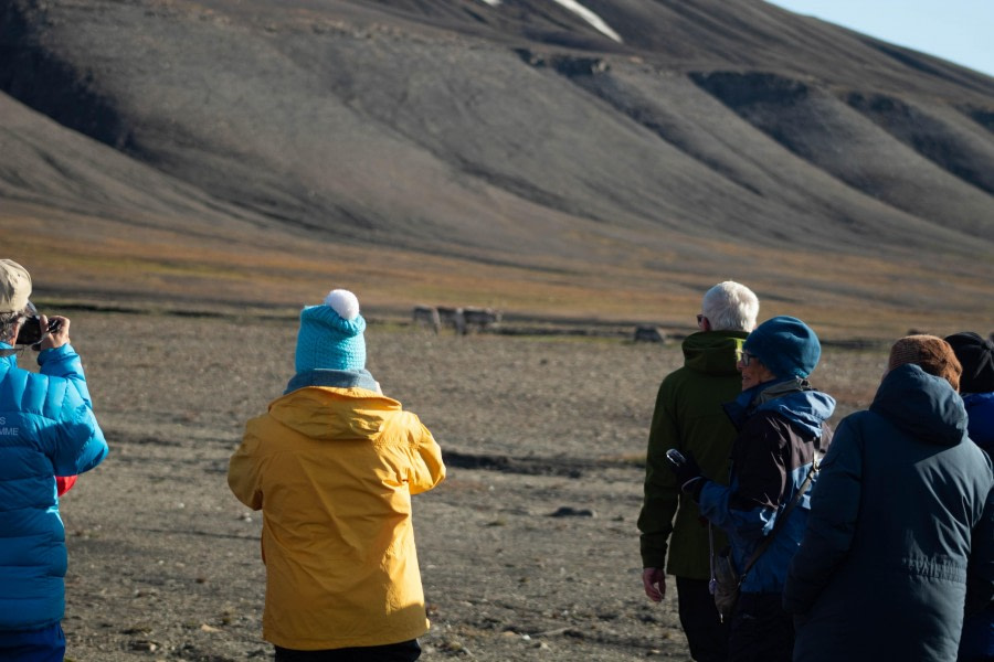 PLA11-23, Day 7, Reindeer spotting © Unknown photographer - Oceanwide Expeditions.jpg