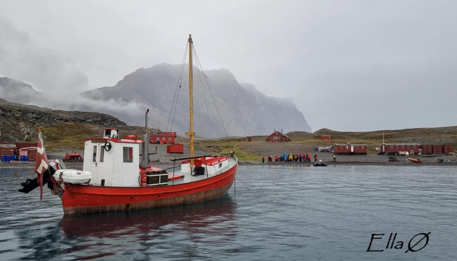 PLA12-23, Day 8, Ella Ø © Ross Wheeler - Oceanwide Expeditions.JPG