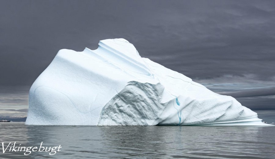 PLA12-23, Day 9, Vikingbugt © Ross Wheeler - Oceanwide Expeditions.JPG