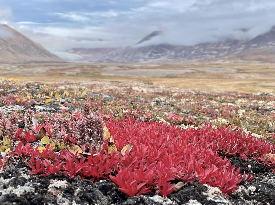 Greenland in Autumn