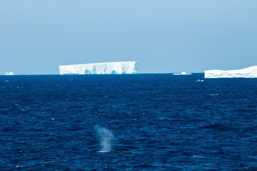 HDS21-23, Day 12, Icebergs © Unknown photographer - Oceanwide Expeditions.jpg