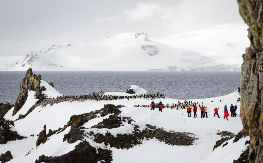 Half Moon Island, South Shetland Islands