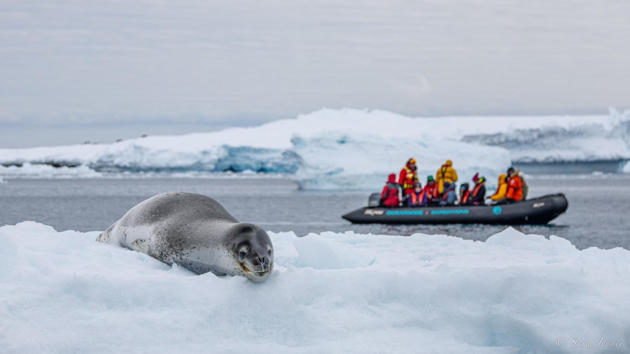 Gourdin Island