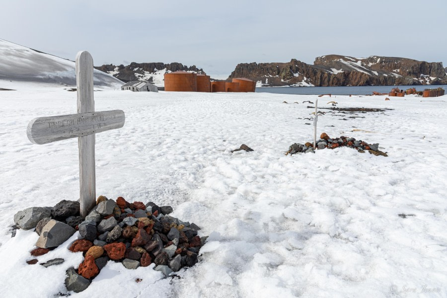 OTL22-23, Day 8, Deception Island © Sara Jenner - Oceanwide Expeditions.jpg