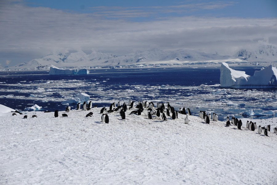 HDS22-23, Day 6, DSC03495 © Matthias Kopp - Oceanwide Expeditions.JPG