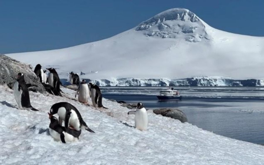 Port Lockroy and Damoy Point