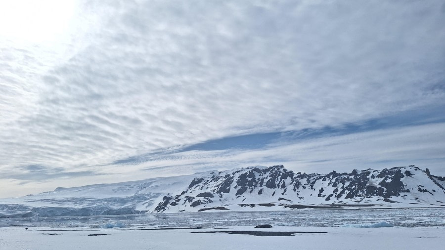 Yankee Harbour and Half Moon Island