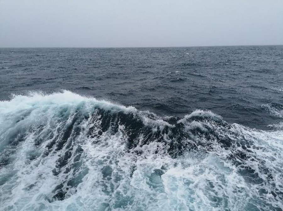 At sea – Drake Passage