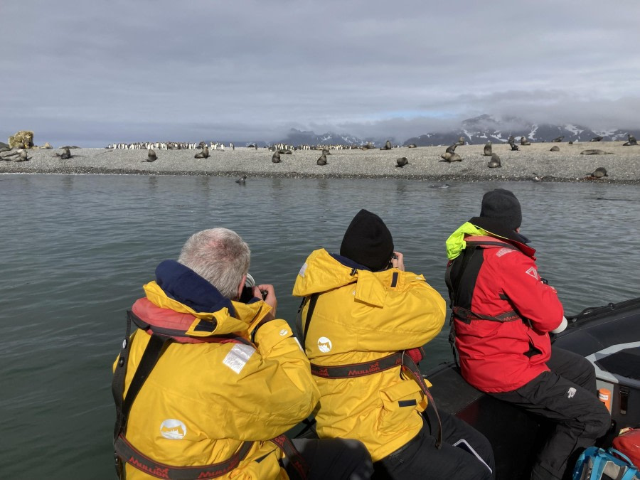 Rosita Harbour & Salisbury Plain, South Georgia