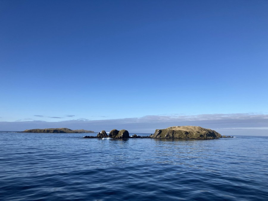 PLA22-23, Day 6, South Georgia © Joshua Peck - Oceanwide Expeditions.jpg