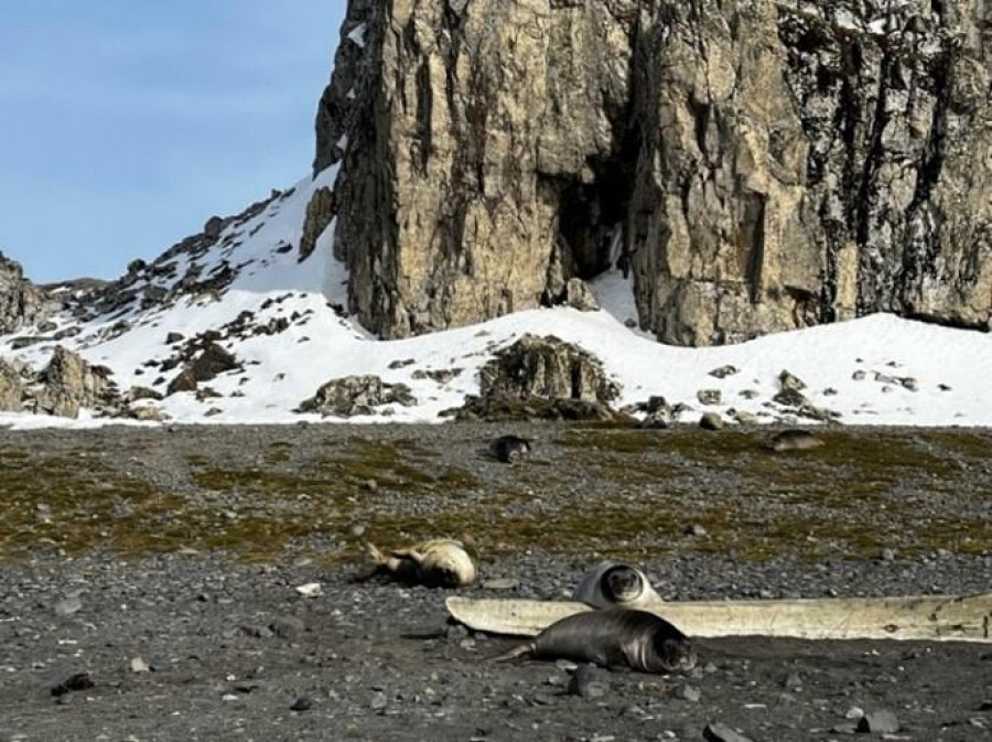 Elephant Point & Telefon Bay (Deception Island)